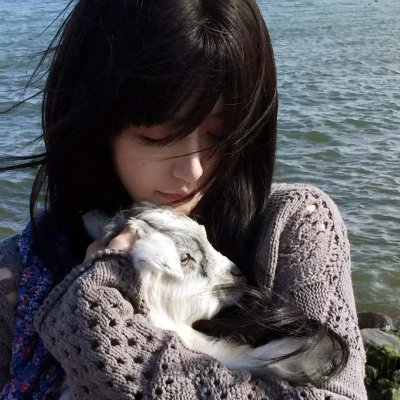 盾之勇者成名录第三季